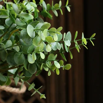 Umjetne Plastične Grane Eukaliptusa 6 Palicama Imitacija Zelene Biljke Cvjetnih Aranžmana Vjenčanje Kućni Vrt Dekor Novčani List